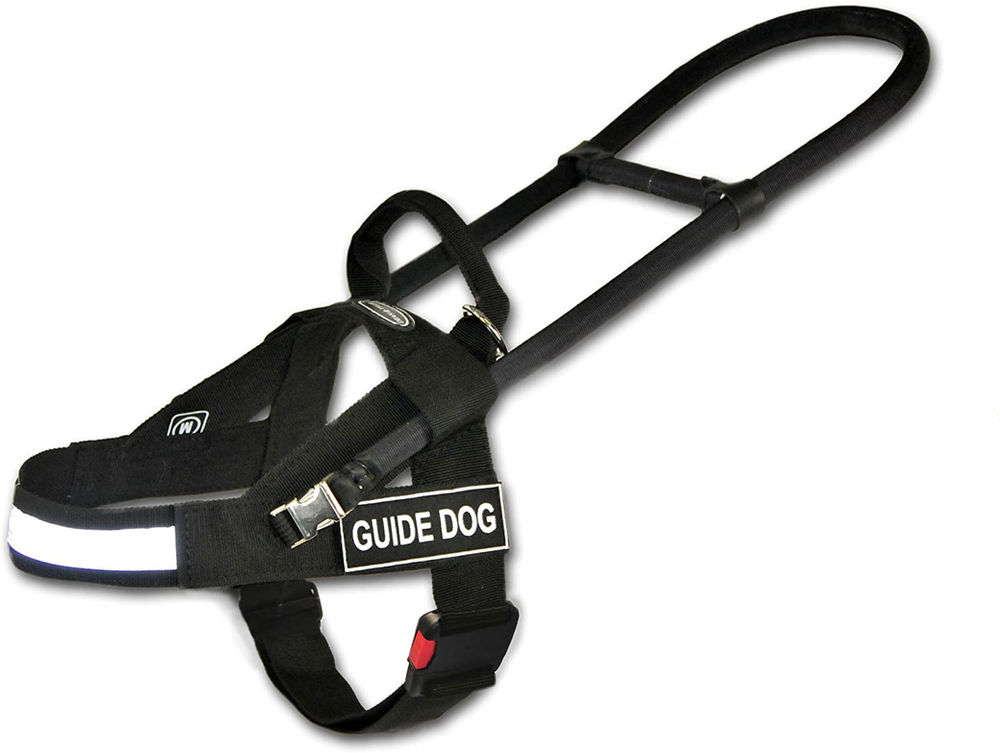 Service Dog Equipment