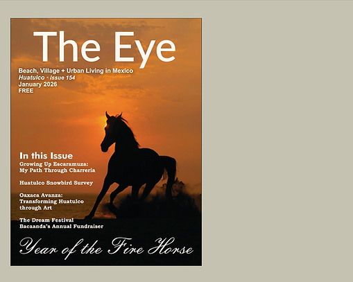 The ALMA experience : Sustainability