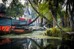 Dal lake of Srinagar