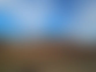 Clearing the ground!