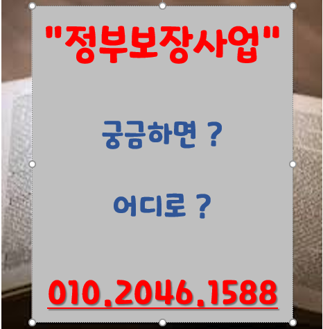 교통사고 정부보장사업 