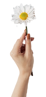 Blue, Tan and White Boho Welcome Email T