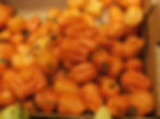 Salsa de chile habanero