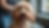 Eye-level view of a happy dog being groomed