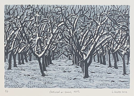 Orchard in snow, NOTL