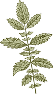 Botany