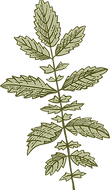 Botany