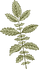 植物学