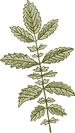 Botany