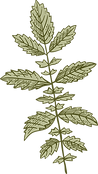 Botany