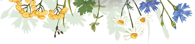 Large Bottom Flowers.png