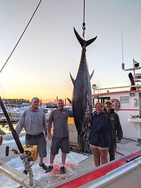 IMG_20200806_201118.jpg