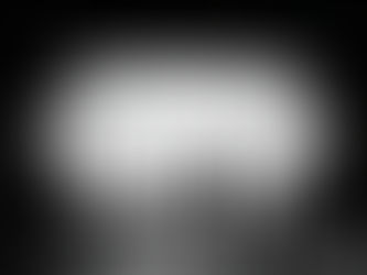 Spotlight on Emerging Directors