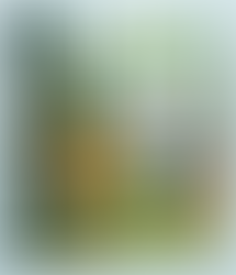 Las aventuras de Txano y Óscar