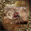 Miniature : Broche Double Steampunk Médiéval Vintage Gothique Féerique Fantastique Badge Rou