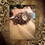Miniature : Montre Manchette Acier Réglable Unique Steampunk Engrenage Rétro Vintage Cosplay