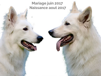 Mariage Loumi et Lasca Juin 2017