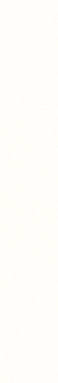 Minimalist Blank Ivory Canvas.png