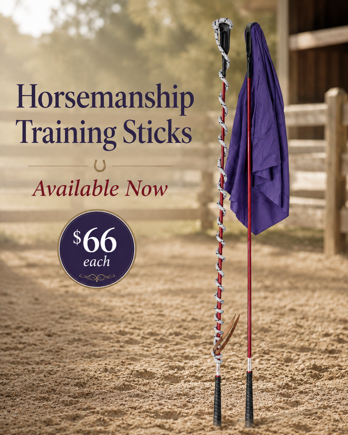 Horsemanship Training Stick