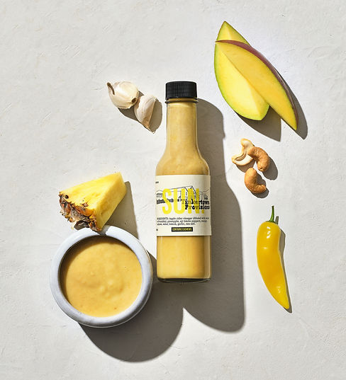 SUN_Final Site Versions.jpg