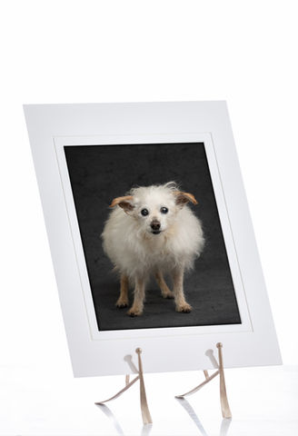 Fine art matted prints