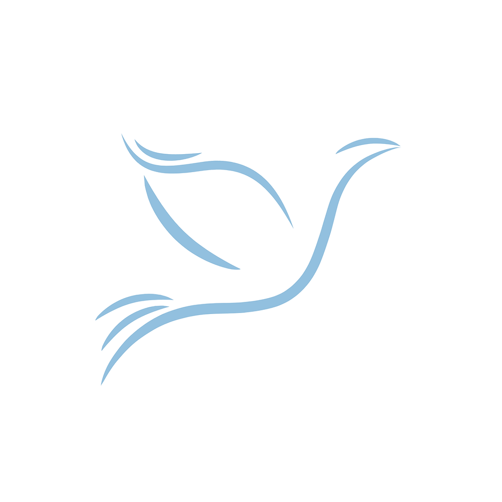 Picture Logo (Blue + Grey).png