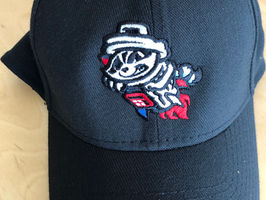 Top 11 Minor League Baseball Team Names