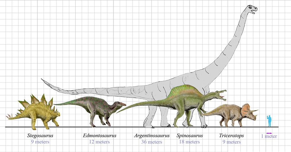 Zachi Evenor, CC BY-SA 2.0 <https://creativecommons.org/licenses/by-sa/2.0>, via Wikimedia Commons