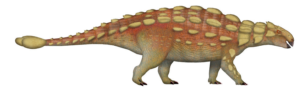 TotalDino, CC BY 4.0 <https://creativecommons.org/licenses/by/4.0>, via Wikimedia Commons