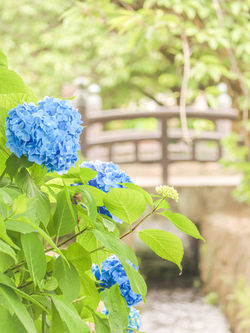白井宿