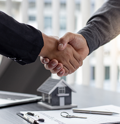 网站首页第一栏 (2).png