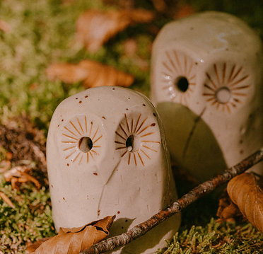 ESPRIT DE LA NUIT SILENCIEUX