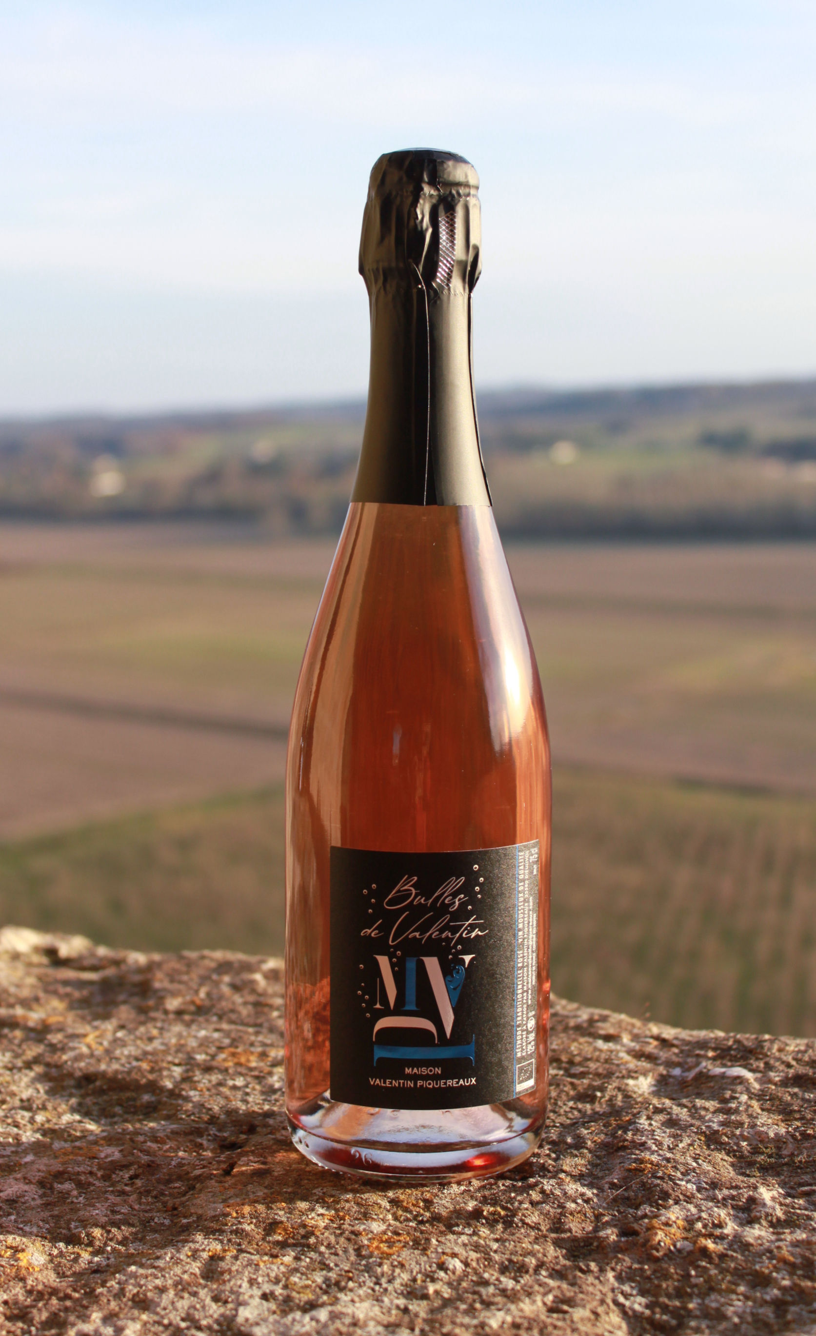 Bulles de Valentin Rosé