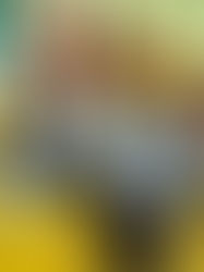 Les 2016-2015-2014 de Kéramporiel 