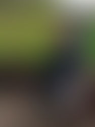 Les 2021-2020-2019 de Kéramporiel au domaine de Parial