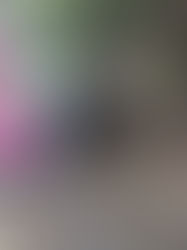 La première course à la voile des 2018-2017 de kéramporiel