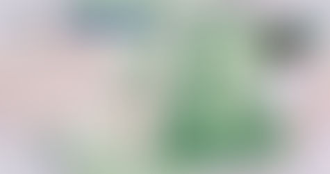 10 Pounds – 2008 – Irlanda do Norte 