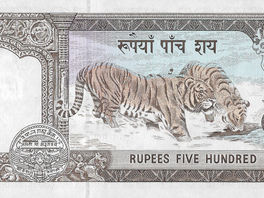 500 Rupees – 1981-96 – Nepal