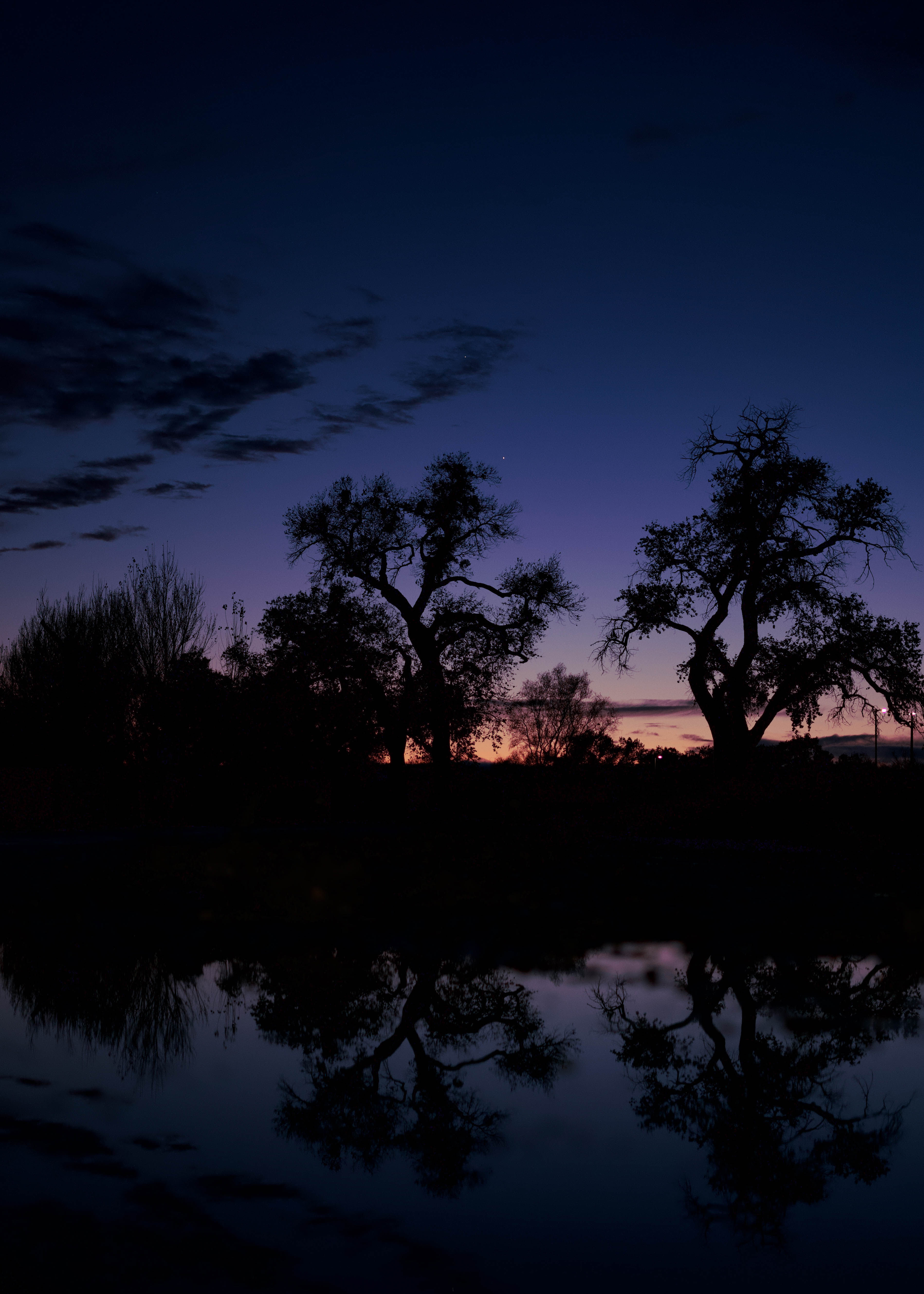 Reflections On The Bosque - Photo Print