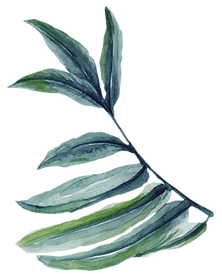 feuille