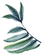 plant image