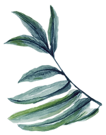 Leaf