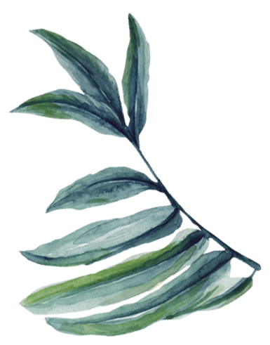 feuille