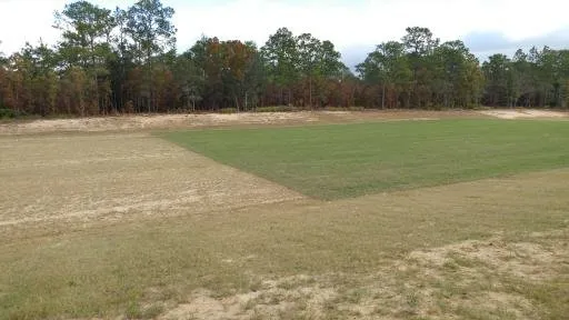 Lecanto YMCA Soccer fields 4