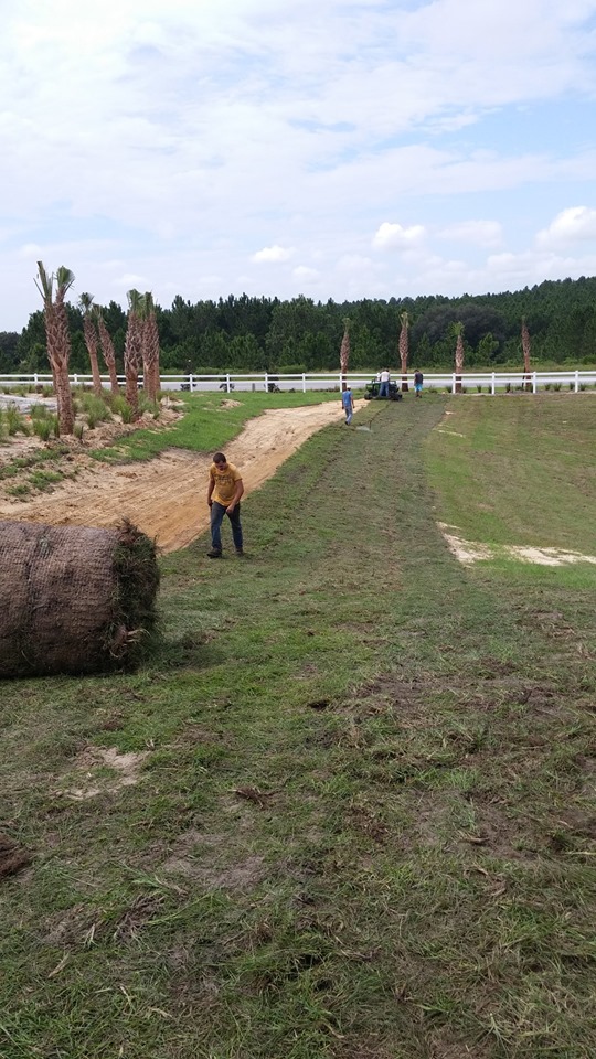 McDonald's 486 in Lecanto Bahia Installa