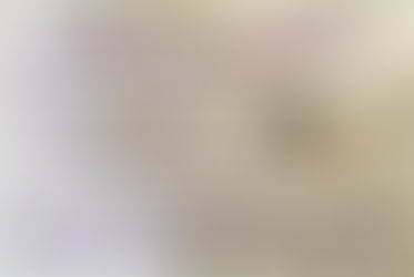 June can be celebrated with a 2nd birthstone, the rare and valuable Alexandrite.