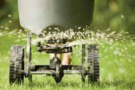fertlization