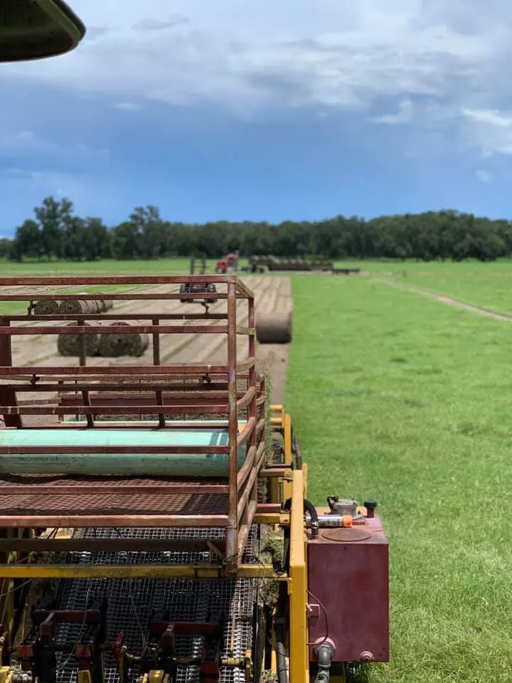 commercial sodding