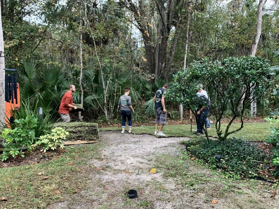 residential sod service