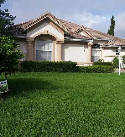 Citrus_Hills_Yard_Renovation_with_Saint